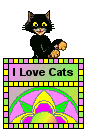 petrapixel